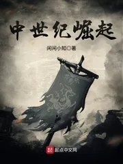 《中世纪崛起》小说封面