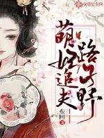 《萌妃追夫路子野》小说封面
