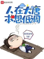 《人在大唐本想低调》小说封面