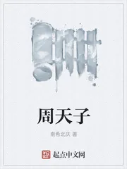 《周天子》小说封面