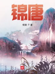 《锦唐》小说封面
