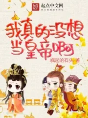 《我真的没想当皇帝啊》小说封面