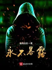 《永不暴露》小说封面
