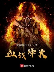 《血战烽火》小说封面