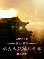 《振兴蜀汉：从天水麒麟儿开始》小说封面