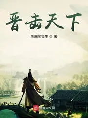 《晋击天下》小说封面