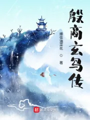 《殷商玄鸟传》小说封面