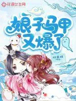 《娘子马甲又爆了》小说封面