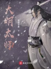 《大明太师》小说封面