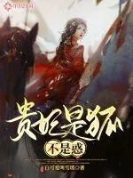 《贵妃是狐不是惑》小说封面