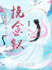 《红楼之挽金钗》小说封面