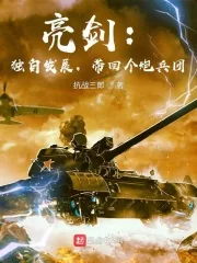 《亮剑：独自发展，带回个炮兵团》小说封面