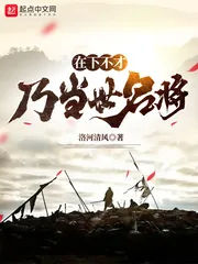 《在下不才，乃当世名将》小说封面