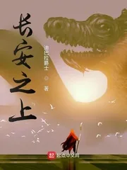 《长安之上》小说封面