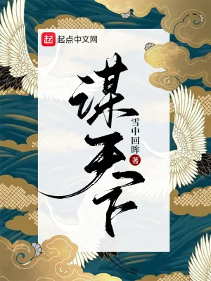 《谋天下》小说封面