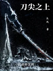 《刀尖之上》小说封面