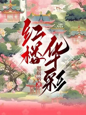 《红楼华彩》小说封面