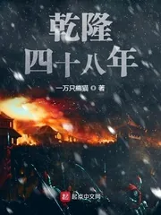 《乾隆四十八年》小说封面