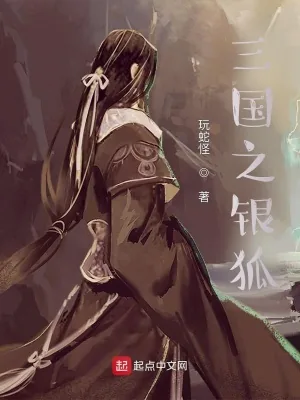 《三国之银狐》小说封面