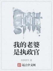 《我的老婆是执政官》小说封面