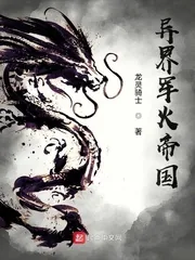 《异界军火帝国》小说封面