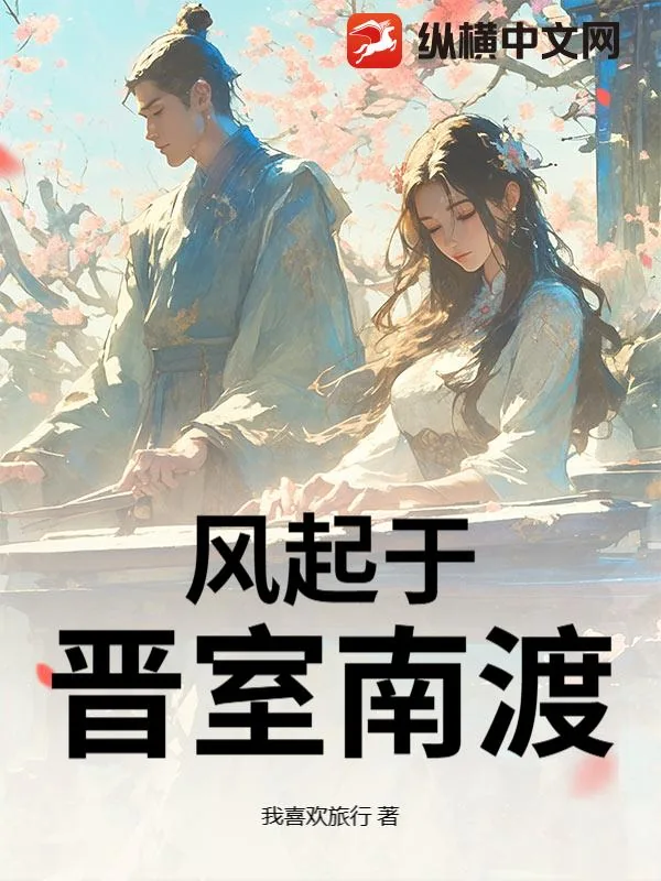《风起于晋室南渡》小说封面