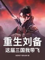 《重生刘备：这届三国我带飞》小说封面
