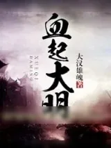 《血起大明》小说封面