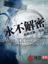 《永不解密》小说封面