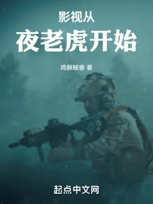《影视从夜老虎开始》小说封面