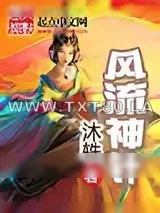 《风流神针》小说封面