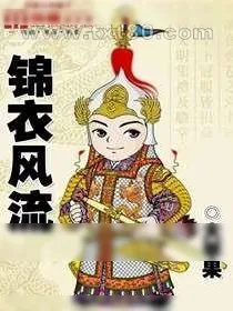 《锦衣风流》小说封面