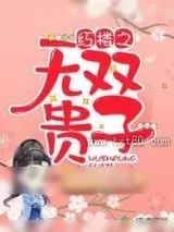 《红楼之无双贵子》小说封面