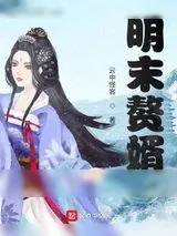 《明末赘婿》小说封面