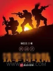 《抗战之铁拳特攻队》小说封面