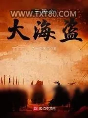 《三国之大海盗》小说封面