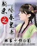 《新宋之咏春皇帝》小说封面