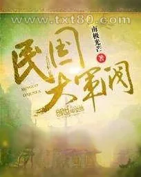 《民国大军阀》小说封面
