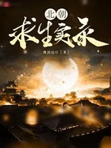 《北朝求生实录》小说封面