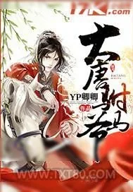 《大唐驸马爷》小说封面