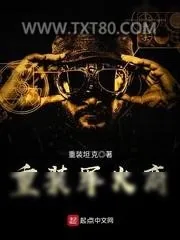 《重装军火商》小说封面