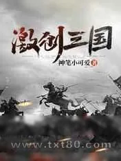 《激创三国》小说封面
