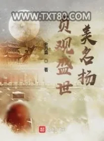 《贞观盛世美名扬》小说封面