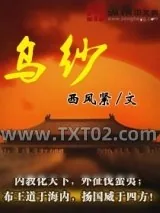《乌纱》小说封面