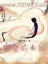 《新朝轶事汇编》小说封面