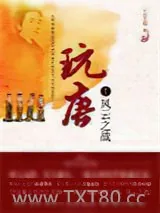 《玩唐》小说封面