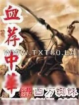 《血荐中华》小说封面
