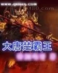 《大唐楚霸王》小说封面