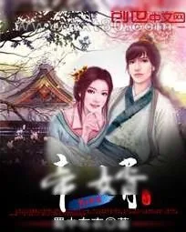 《帝婿》小说封面