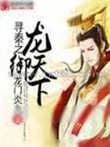 《寻秦之龙御天下》小说封面